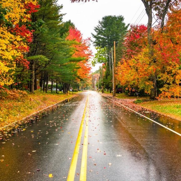 Meet your Posher, Jeffrey - Picture 1 of 1